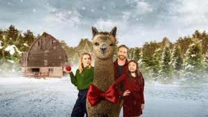 Christmas on the Alpaca Farm: Family with alpaca