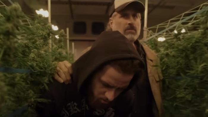 Clika Movie: A man in a cap and white beard shoves Chito through a crop of marijuana plants