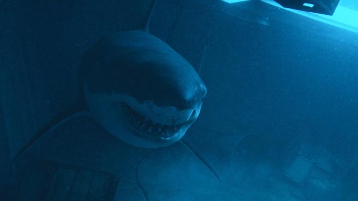 Deep Fear Movie: A large shark swims in the ocean