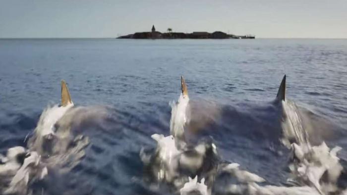 Deep Blue Sea 3 Movie: Sharks Arrive at Little Happy Island