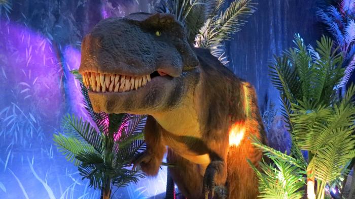 Dinosaur Island Movie: Scene #4