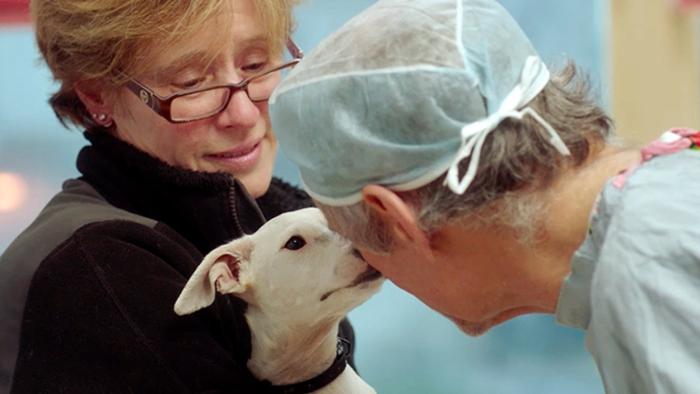 The Dog Doc Movie: Scene #2