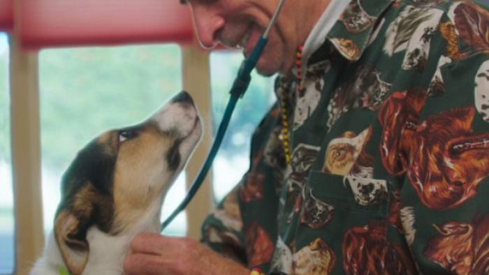 The Dog Doc Movie: Scene #1