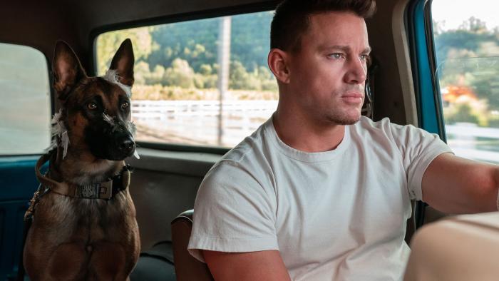 Dog Movie: Scene #2