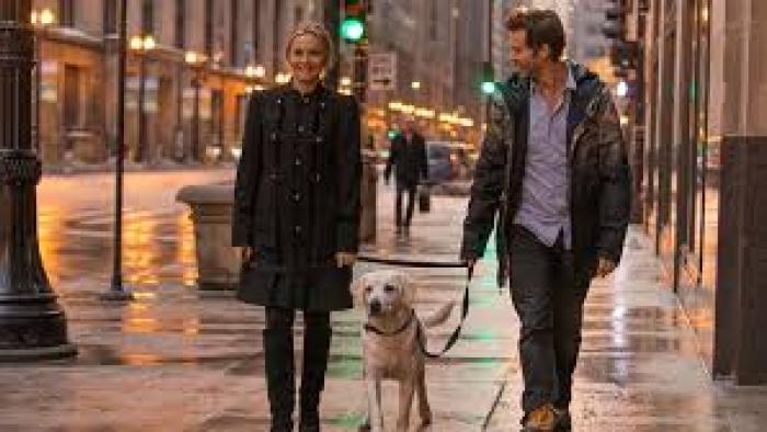 Who Gets the Dog? Movie:  Scene #3