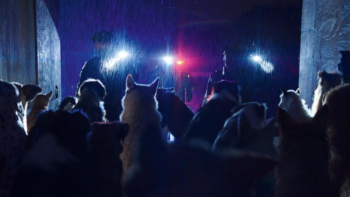 DogMan Movie: Many dogs in the back of a truck, viewed from the rear, are illuminated by police flashlights