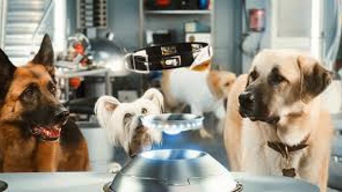 Cats & Dogs Movie: Scene 3