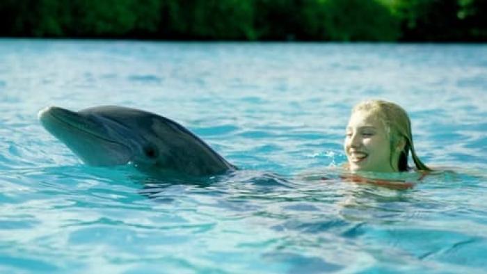 Dolphin Island Movie:  Scene #1