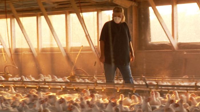Food, Inc. Movie: Scene #1