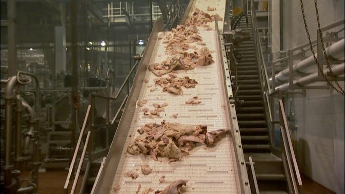 Food, Inc. Movie: Scene #3