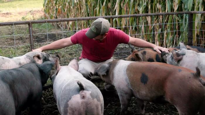 Food, Inc. 2 Movie: A man squats down and stretches out his arms to pet several pigs that are all around him