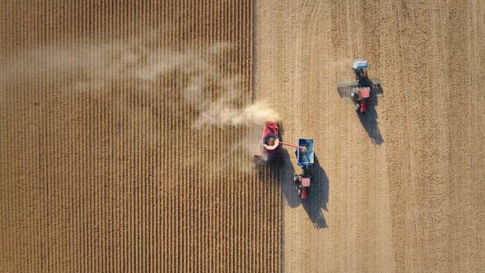 Food, Inc. 2 Movie: An overhead view of three vehicles in the process of harvesting grain