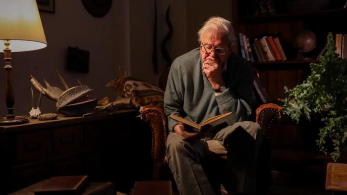 A Gorilla Story—Told by David Attenborough: David Attenborough sits in a library-like room and reminisces about his work up close with gorillas