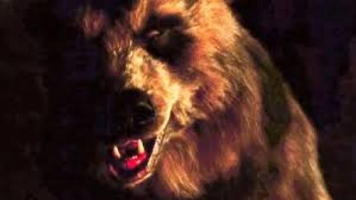 Grizzly II: Grizzly bear roars
