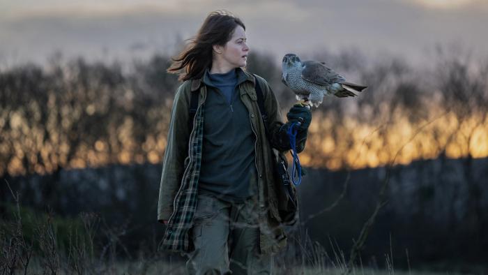 H is for Hawk: Claire Foy holds a hawk on her wrist in the middle of a field