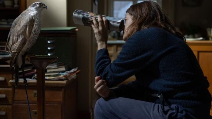 H is for Hawk: Claire Foy looks through a rolled up magazine at a hawk in her living room