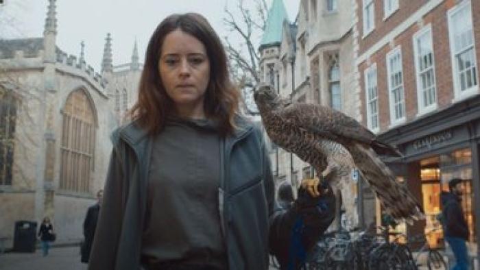 H is for Hawk: A White woman walks through the city streets with a hawk on her arm