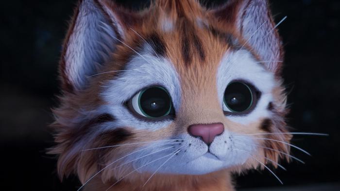 Heidi — The Rescue of the Lynx: A wide-eyed lynx cub is shown in close-up