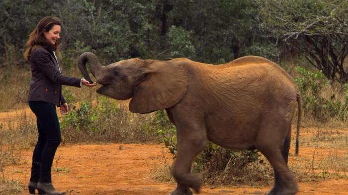 Holiday in the Wild Movie: Kate & Manu