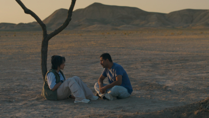 It Was Just an Accident: Two people sit under a thin tree in the desert