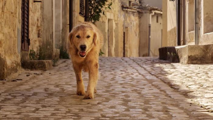 Italo Movie: Scene 1