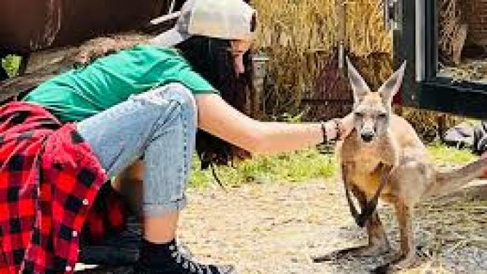 Kangaroo Kids: Josefina Baeza and Molly the kangaroo.