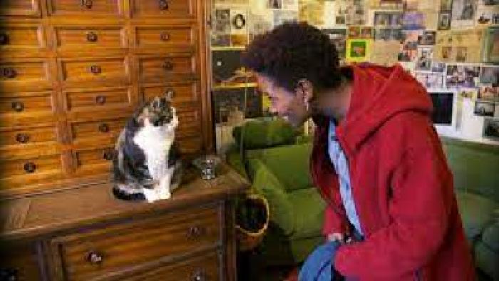 Kitty Love: An Homage to Cats Movie: Scene # 2