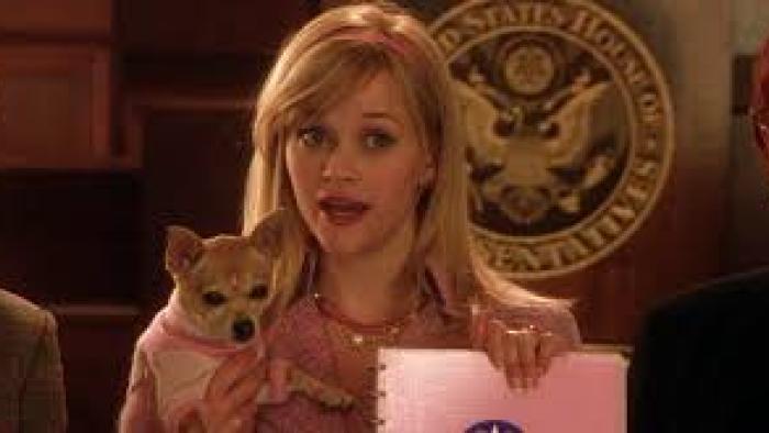 Legally Blonde 2 Movie: Scene 1