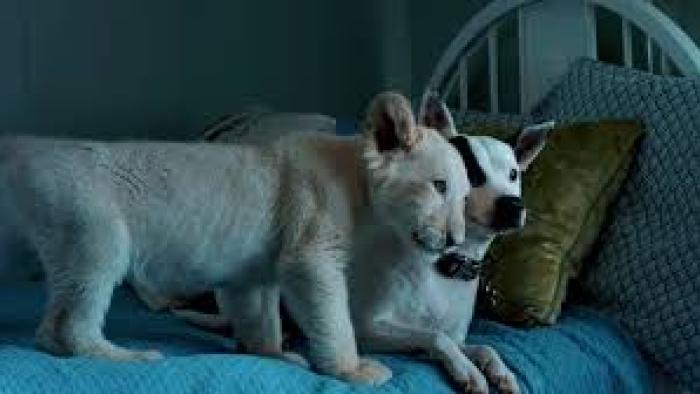 Lena and Snowball Movie: Scene Three