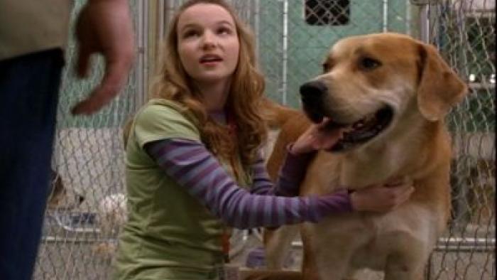 Life is Ruff Movie: Scene #2