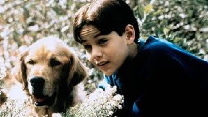My Magic Dog Movie: Scene #3