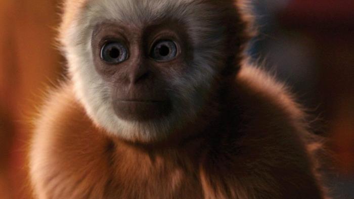 Monky Movie: Scene #2
