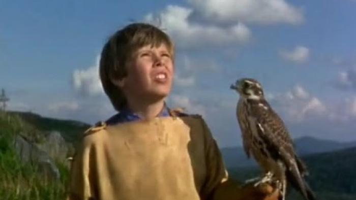 My Side of the Mountain (1969) Movie: Scene #1