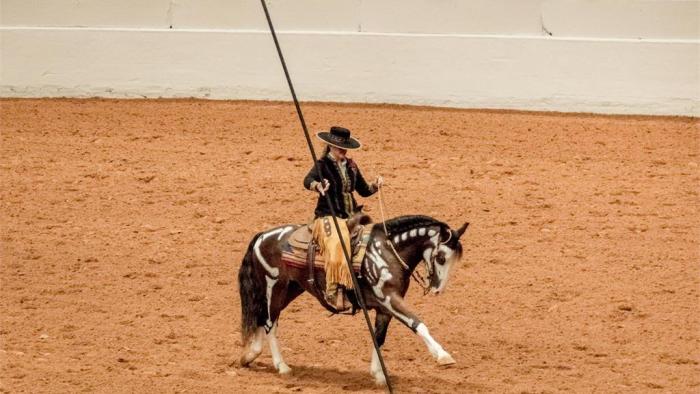 The Mustangs: America's Wild Horses Movie: Scene #2