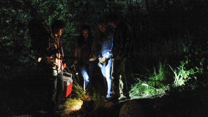 Nightlight: Scene #2