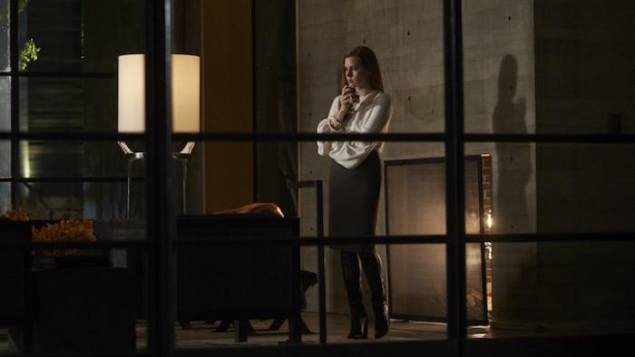 Nocturnal Animals Movie: Scene #1