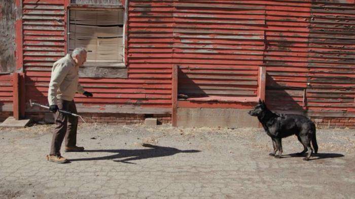 Not My Dog movie: Sal Rendino faces off with Nudge the dog, animal control hook in hand