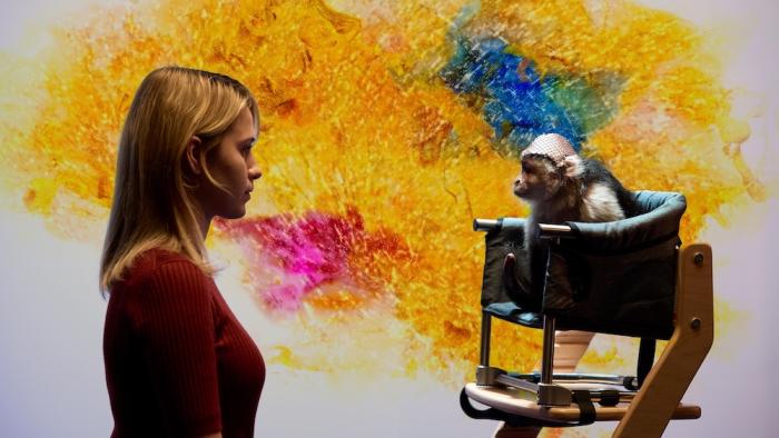 O Horizon Movie: Abby regards a monkey in a chair; behind them is a dazzling display of color on a screen