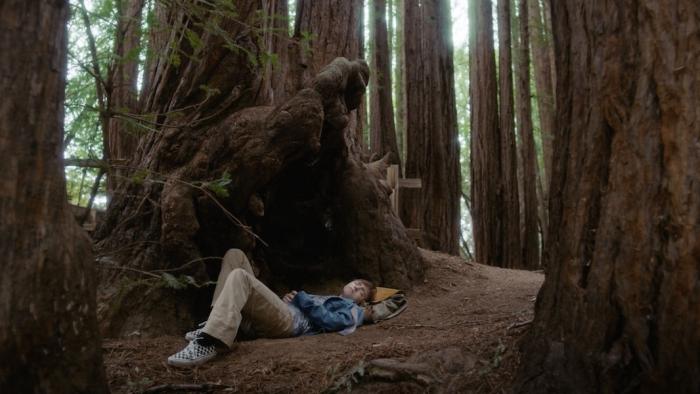 The Optimist Movie: Abby lies on the ground under an enormous gnarled tree, her head resting on a backpack