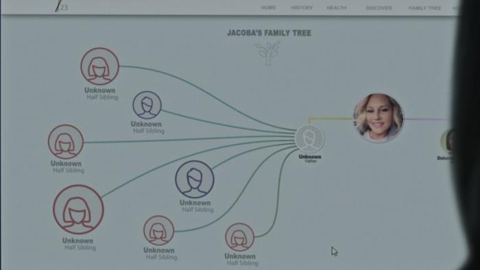 Online partial version of Jacoba Ballard's family tree 