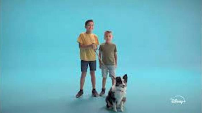 Pets: Two kids with a dog