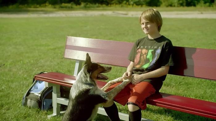Pups United Movie: Scene #4
