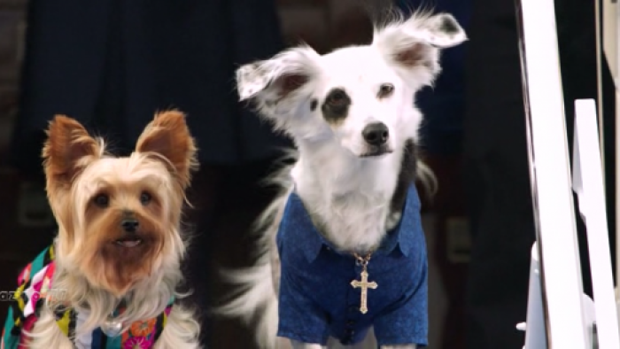 Pup Star: World Tour Movie: Tiny & Julio