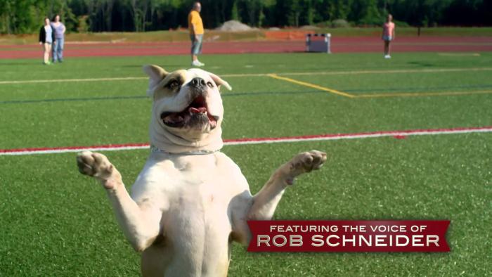 Pups United Movie: Scene #3