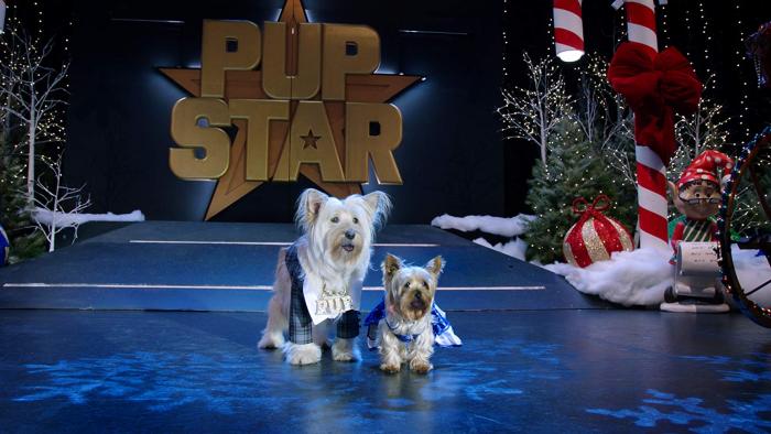 Puppy Star Christmas Movie: P.U.P. and Tiny