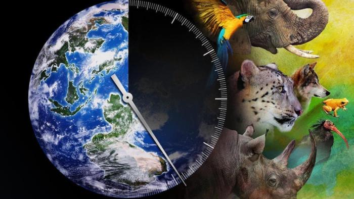 Racing Extinction Movie: Scene One