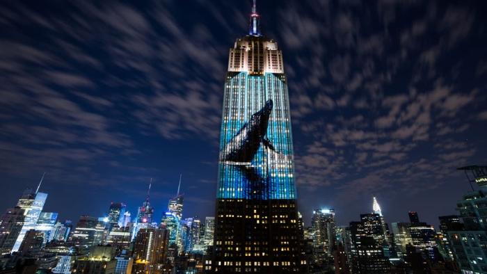 Racing Extinction Movie: Scene Two