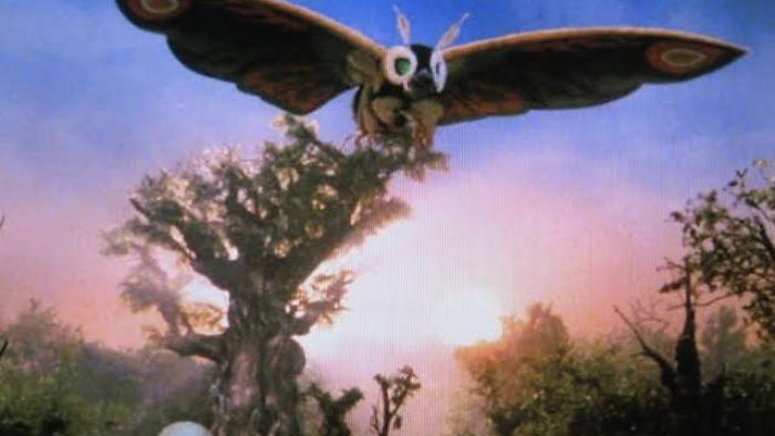Rebirth of Mothra Movie: A giant moth creature flying over a forest at sunset.
