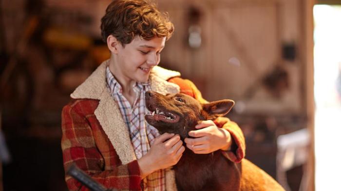 Red Dog: True Blue Movie: Best Buddies