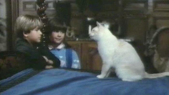 The Richest Cat in the World Movie: Scene #1